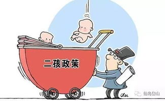 关爱妇幼健康，提升服务水平，筑牢全民健康保障基石